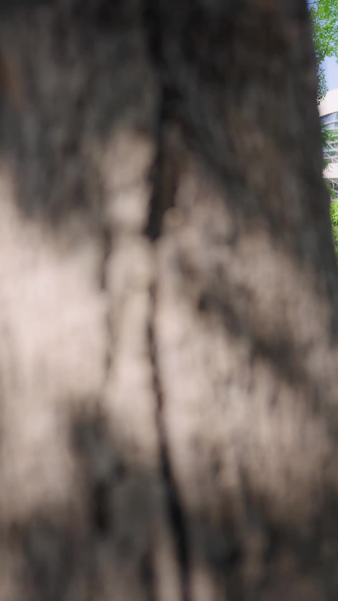 第1話 - Dilenci Prens